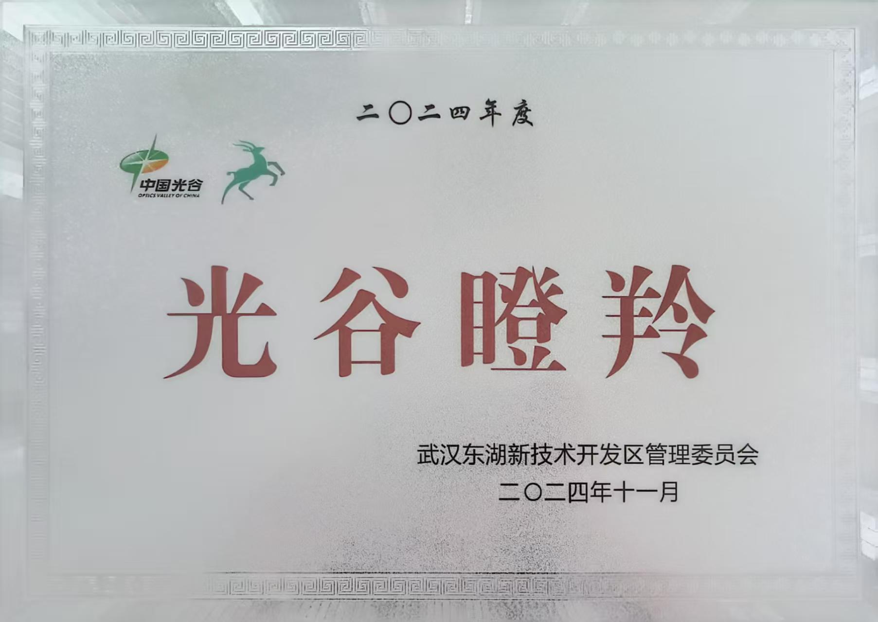 光谷瞪羚企业